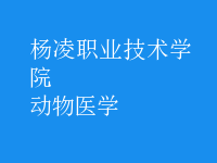 動物醫(yī)學