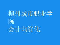 會計電算化