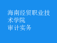 審計(jì)實(shí)務(wù)