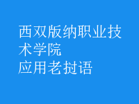 應(yīng)用老撾語