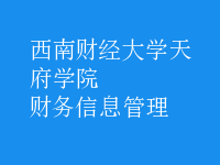財務(wù)信息管理