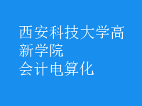 會計(jì)電算化