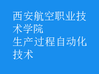 生產(chǎn)過(guò)程自動(dòng)化技術(shù)