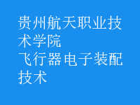 飛行器電子裝配技術