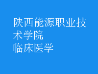 臨床醫(yī)學(xué)