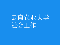 社會工作