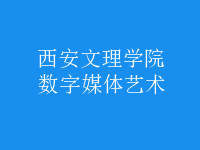 數(shù)字媒體藝術