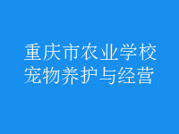 寵物養(yǎng)護與經(jīng)營